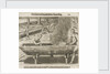 Natives hollowing tree trunks for boats, Florida 1564 by unknown