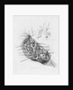 Eleven figures in a lifeboat going out to vessels in a rough sea by William Miller