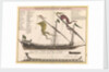 Durchschmitt einer Galere mit ihren theilen by Unknown