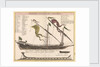 Durchschmitt einer Galere mit ihren theilen by Unknown