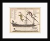 Durchschmitt einer Galere mit ihren theilen by Unknown