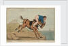 A Sailor on the Mane or a trip to Sea by William Heath