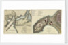 Plan of the attack made on Geriah Fort by Rear Admiral Watson, 13 February 1756 by T. Jefferys