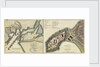 Plan of the attack made on Geriah Fort by Rear Admiral Watson, 13 February 1756 by T. Jefferys