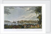 NE view of Fort Louis in the island of Martinique, 5 February - 22 March 1794 by C. Willyams
