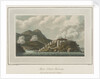 Pigeon Island, Martinique by C. Willyams