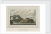 Pigeon Island, Martinique by C. Willyams