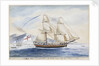 The 'Vigilant' of Hull,  Captain George Orton by Reuben Chappell