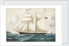 Spin Away of Fowey at sea by Reuben Chappell