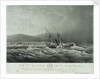 The loss of the steam ship 'Hope' steam ship on the south eastern coast of Africa by William John Huggins