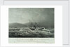 The loss of the steam ship 'Hope' steam ship on the south eastern coast of Africa by William John Huggins