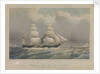 The RSMP 'Trent' dedicated to the Royal Mail Steamship Company by.... W Jeffreson by W. Jeffreson