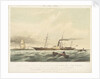 The iron steam ship 'Victoria' by Thomas Sewell Robins