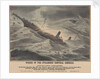 Wreck of the steamship 'Central America' on 12 September 1857, foundered in a hurricane, off Cape Hatteras by J Childs