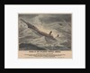 Wreck of the steamship 'Central America' on 12 September 1857, foundered in a hurricane, off Cape Hatteras by J Childs