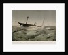 The stranding of the 'Anglo Saxon' by F. Sala & Co
