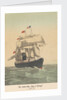 The steam-ship 'City of Chicago' of the Inman Line by Unknown