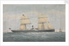 Steamer of the Stag? Line Joseph Robinson by unknown