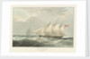 Captain Burn's yacht 'Calypso' by William John Huggins