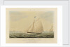 'Blue Belle' iron cutter yacht by J. Rogers