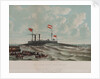 Steam yacht 'Ross Winans' (cigar ship) by Thomas Goldsworth Dutton