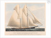 The Yacht Countess of Dufferin, of the Royal Canadian Yacht Club. by Currier & Ives