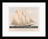 The Yacht Countess of Dufferin, of the Royal Canadian Yacht Club. by Currier & Ives
