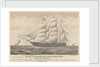 Bark Catalpa of New Bedford, police boat, ship's boat and British ship Georgette by E. N. Russell