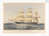 Clipper ship 'Cinderella' by Thomas Goldsworth Dutton