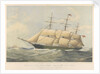 'Silver Eagle' (1861) clipper ship, 1046 Tons by Thomas Goldsworth Dutton