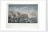 Shipwreck of the 'Astrolabe' on the reefs of the Island of Vanikoro by Louis Le Breton