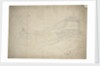 Portrait of the 'Ster' by Willem van de Velde the Elder