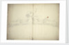 Decoration for a taffrail by Willem Van de Velde the Younger