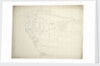 The stern of a states yacht by Willem Van de Velde the Younger
