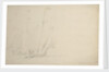 Two pinks under sail by Willem Van de Velde the Younger