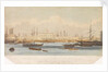 The Blackwall railway terminus & Brunswick pier with the Brunswick propeller & other steam vessels by W. Ranwell