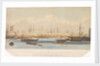The Blackwall railway terminus & Brunswick pier with the Brunswick propeller & other steam vessels by W. Ranwell