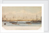 The Blackwall railway terminus & Brunswick pier with the Brunswick propeller & other steam vessels by W. Ranwell