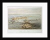 View of Cadiz by A. Guesdon