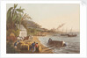 Shipping Sugar by Infant School Depository