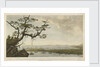 A view of part of the island of Martinique, Pigeon Island, Gros Islet Bay, Shaque Bay & part of Careenage Bay, St Lucia by Charles Forrest Forrest