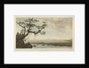 A view of part of the island of Martinique, Pigeon Island, Gros Islet Bay, Shaque Bay & part of Careenage Bay, St Lucia by Charles Forrest Forrest