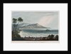 Scarbro' Bay, Tobago by D. McArthur