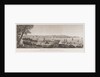 View of Sydney and the Paramatta river by LeSueur