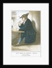 'The Life of a Sailor. Composed and arranged for the Piano Forte by M. & N. Hanhart (printers)