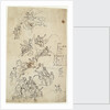 Drawing for the west wall of the Painted Hall by James Thornhill