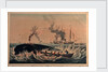South Sea whale fishery by Ambroise Louis Garneray