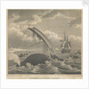 Frontispiece to 'Account of the Arctic Regions' by W Scoresby: Dangers of the Whale Fishery by William Horne Lizars