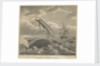 Frontispiece to 'Account of the Arctic Regions' by W Scoresby: Dangers of the Whale Fishery by William Horne Lizars