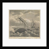 Frontispiece to 'Account of the Arctic Regions' by W Scoresby: Dangers of the Whale Fishery by William Horne Lizars